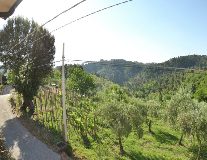 Primary image