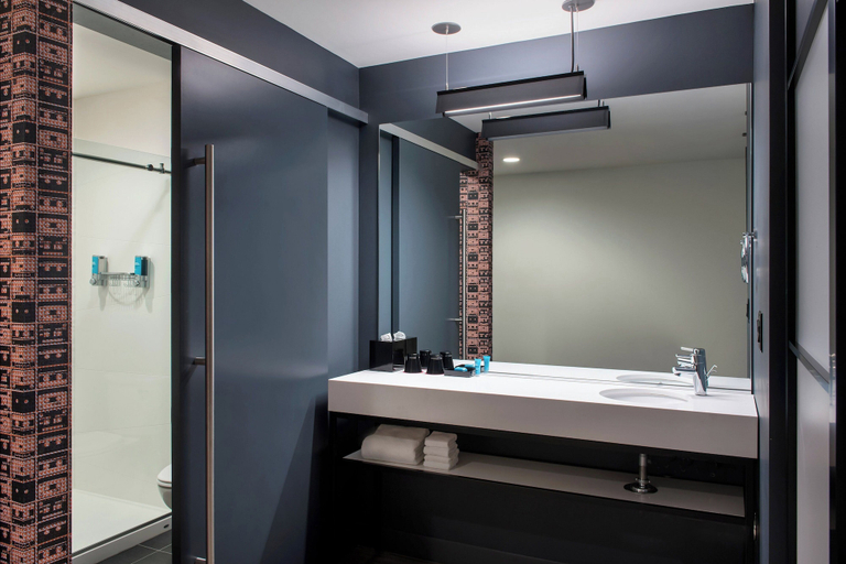Bathroom 4, Aloft by Marriott Buffalo Downtown, Erie