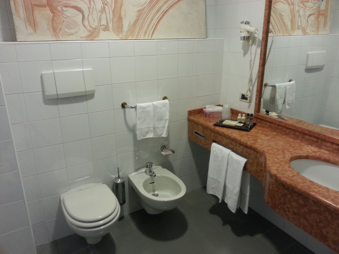 Bathroom 4, Albergo della Roccia, Parma
