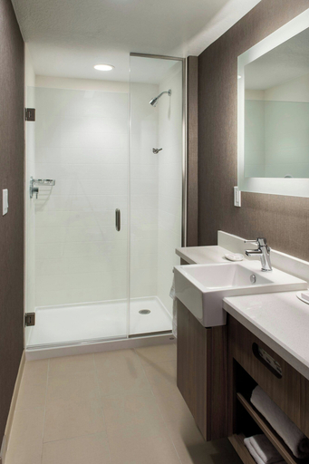 Bathroom 3, SpringHill Suites by Marriott Tampa Suncoast Parkway, Pasco