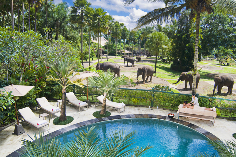 Sport & Beauty, Mason Elephant Lodge, Gianyar