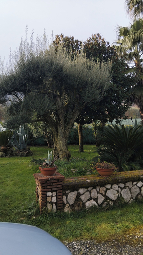 Others 3, Il giardino di Eolo, Caserta