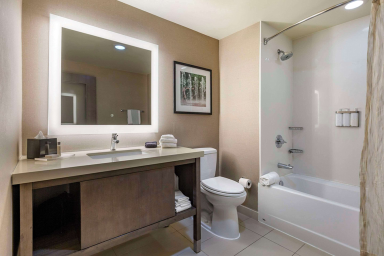 Bathroom 4, Cambria Hotel Rockville, Montgomery