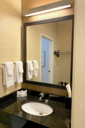 Bathroom 5, Fairfield Inn & Suites by Marriott Denver Tech Center/South, Douglas