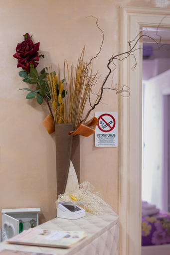 Others 4, Domus Premuda, Roma