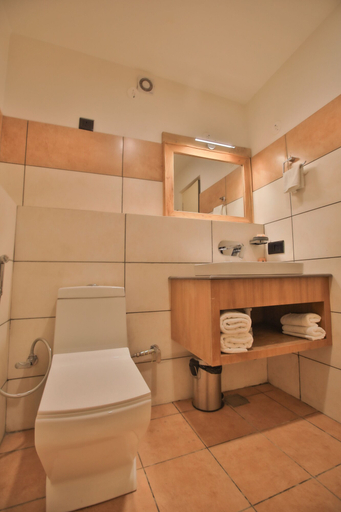 Bathroom 4, The Pal, Leh