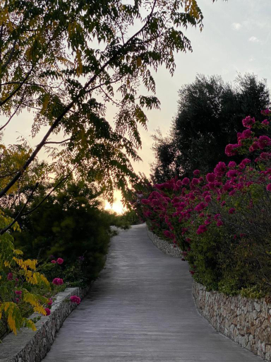 Surrounding environment 3, Villa Domina - Private Beach & Tender Platform, Ionian Islands