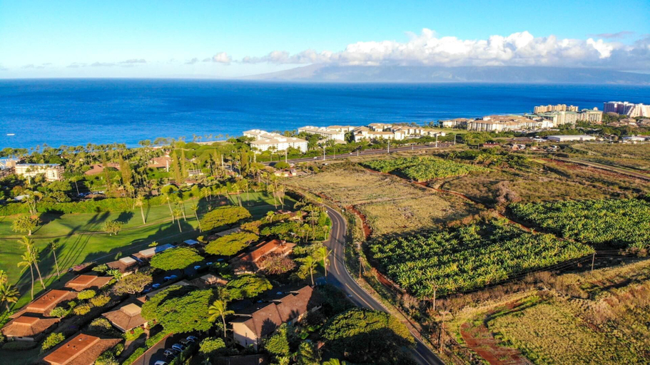 Miscellaneous 2, Kaanapali Plantation Resort by KBM, Maui