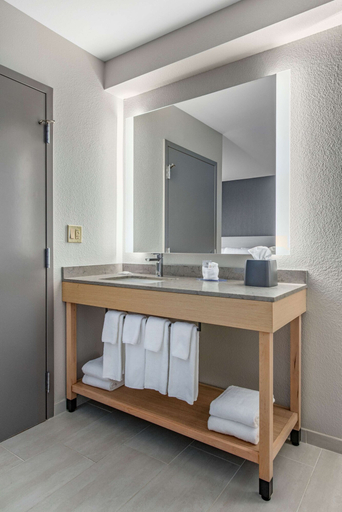 Bathroom 4, Hyatt Place Riverside Downtown, Riverside