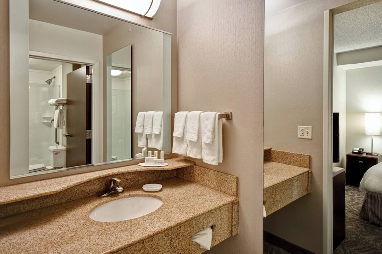 Bathroom 3, Springhill Suites by Marriott Louisville Airport, Jefferson