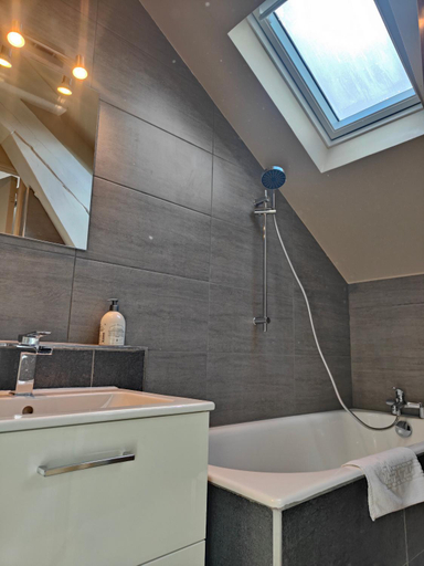 Bathroom 2, Residence Leclerc - Appartements d'hotes - Secteur thermal, Meurthe-et-Moselle