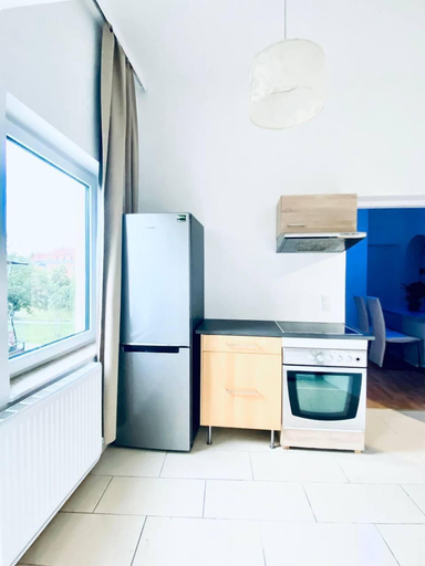 Others 4, Spacious 4 BR Apt Perfect for Groups, Wien