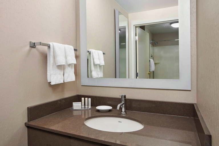 Bedroom 3, SpringHill Suites by Marriott Chicago Schaumburg/Woodfield, Cook