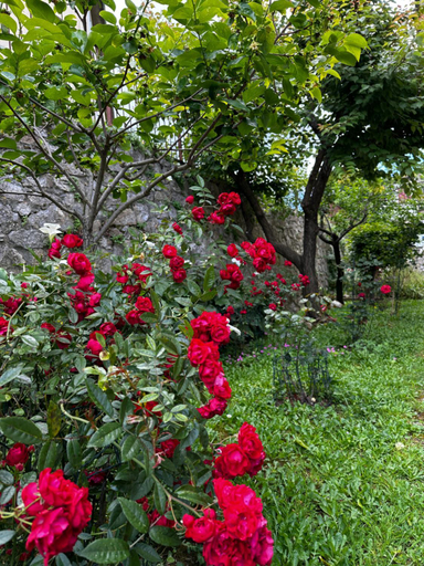 Exterior & Views 4, 2-bedroom apartment ILLARIO - heart of Tuscany - free parking, Pisa