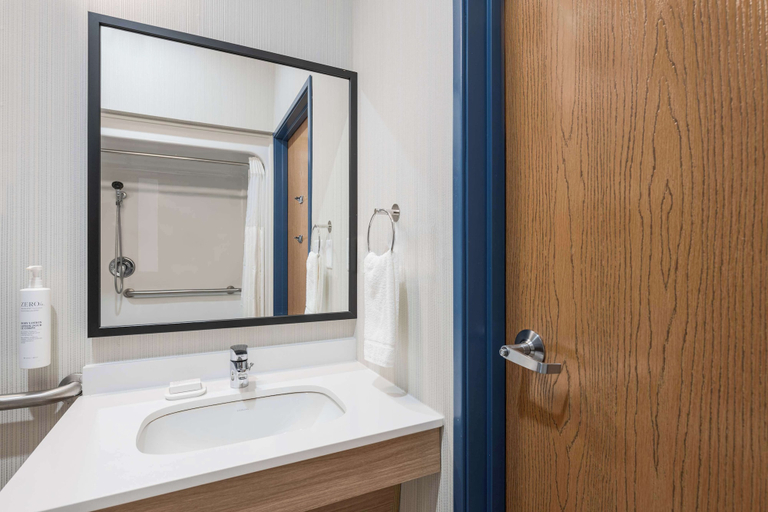 Bathroom 4, Spark by Hilton Dumas, Moore
