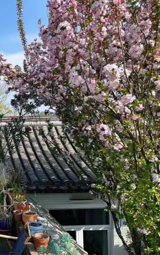 Exterior & Views 2, Peking Garden Boutique Hotel, Beijing