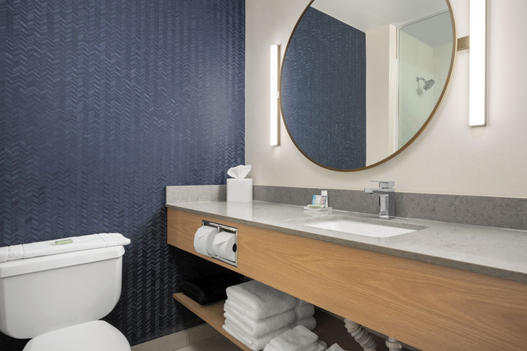 Bathroom 3, Fairfield by Marriott Inn & Suites Helena North, Lewis and Clark