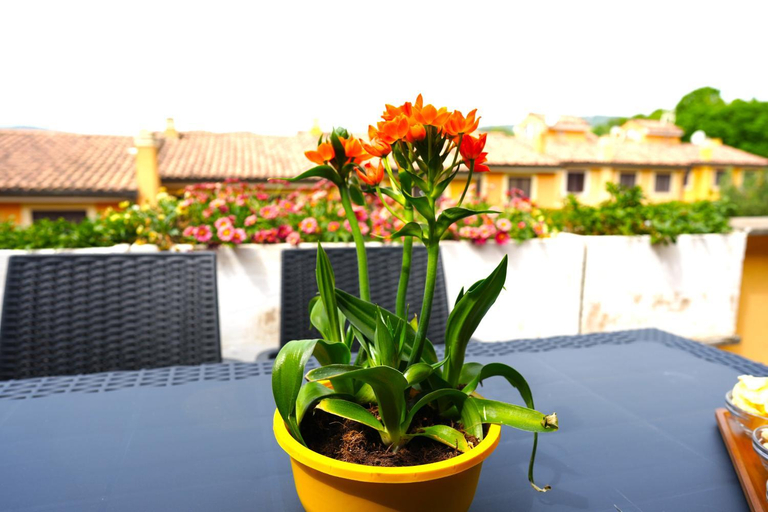 Balcony/terrace 4, JANNUZZI HOUSE, Roma