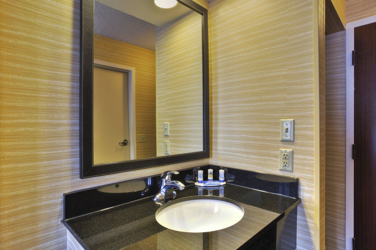Bathroom 4, Fairfield Inn By Marriott Ann Arbor, Washtenaw
