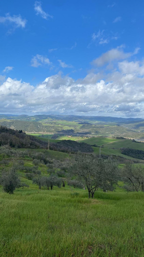 Exterior & Views 3, 2-bedroom apartment ILLARIO - heart of Tuscany - free parking, Pisa