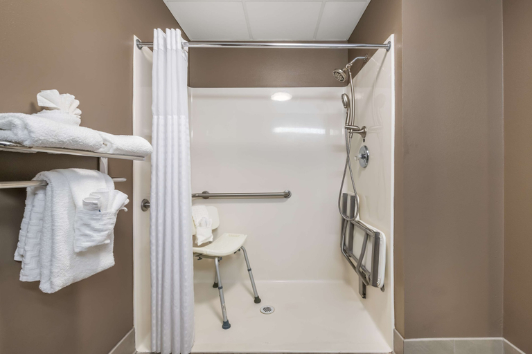 Bathroom 4, Best Western Plus Lake City, Columbia