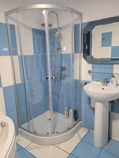 Bathroom, Pensiunea Diana, Capatanenii Pamanteni