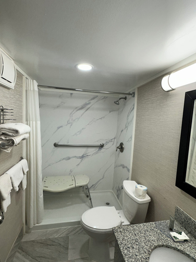 Bathroom 4, Finger Lakes Inn & Suites, Steuben