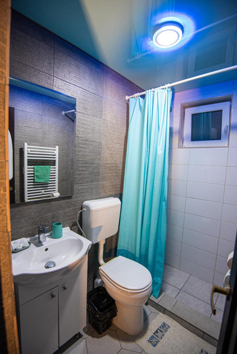 Bathroom 3, PENSIUNEA LAINER, Lumina