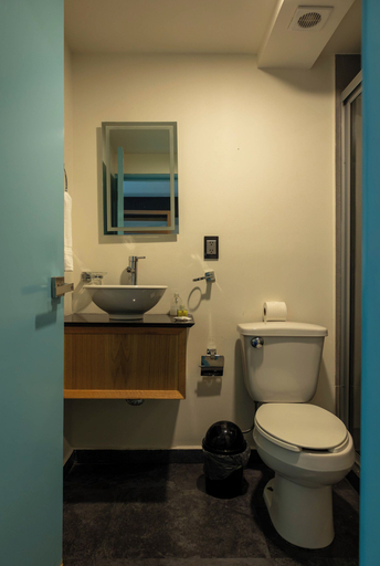 Bathroom 3, Casa Romita, Mexico City