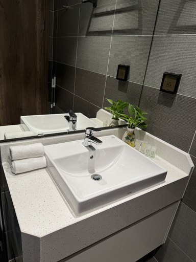 Bathroom 3, Landmark Ecopark by Emily in Town, Văn Giang