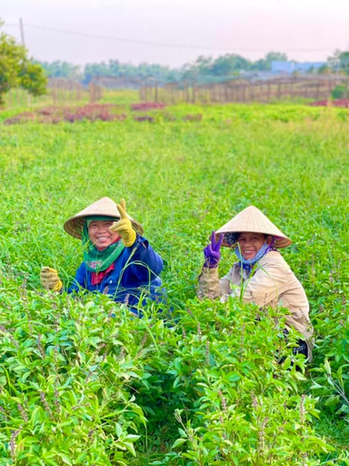 Others 5, Thanh Chiem Village - Khu Du Lich Sinh Thai - Lang Nghe Thanh Chiem, Da Nang