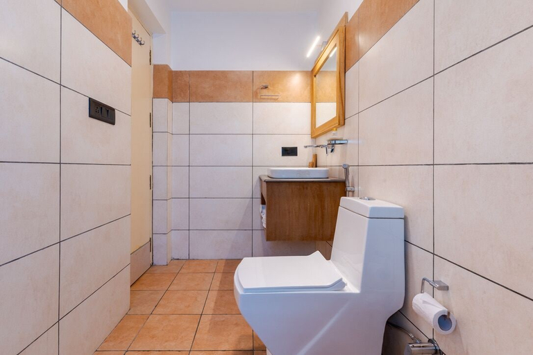 Bathroom 4, The Pal, Leh