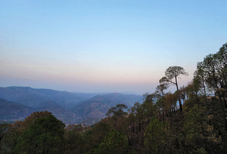 Others 4, Wonder Hill Kasauli, Solan