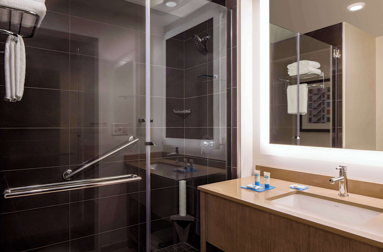 Bathroom 4, Hyatt House New Orleans/Downtown, Orleans