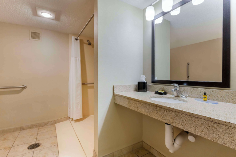 Bathroom 4, Best Western Plus St. Paul North/Shoreview, Ramsey