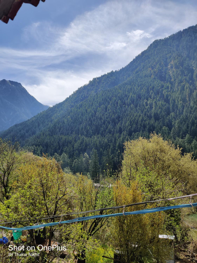 Exterior & Views 4, Dogra Homestay, Kullu