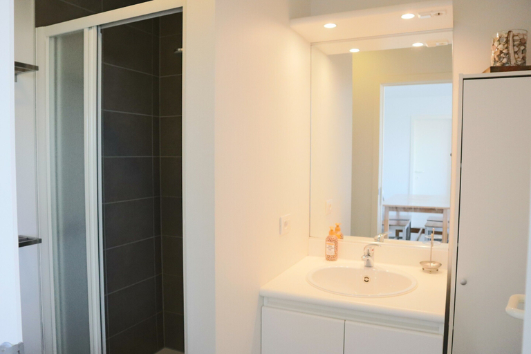Bathroom 3, Apartment in Nieuwpoort With Sea Views, West-Vlaanderen