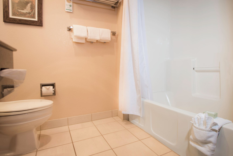 Bathroom 4, The Landing Hotel & Restaurant, Ketchikan Gateway