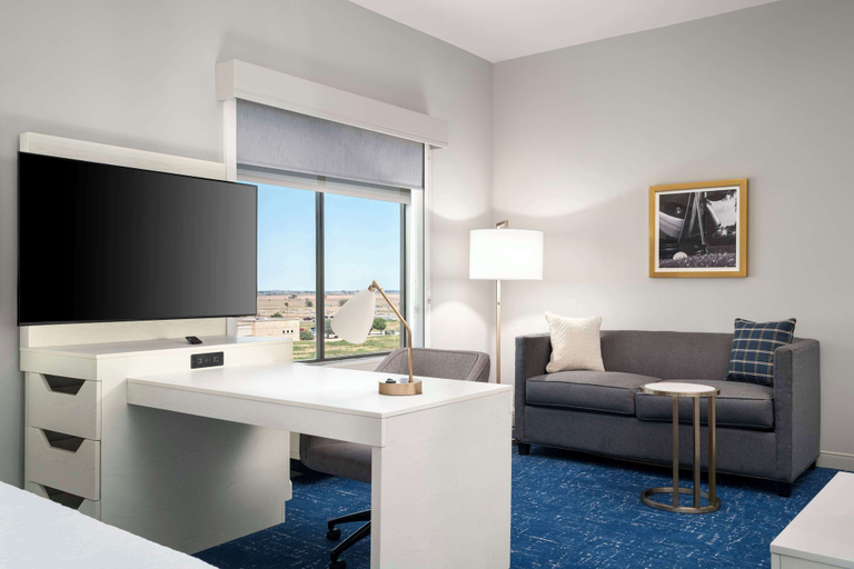 Others 5, Hampton Inn & Suites Amarillo West, Potter