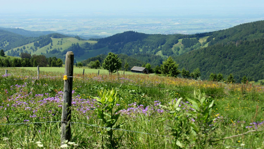 Others 4, View House, Schauinsland, Black Forest, Breisgau-Hochschwarzwald