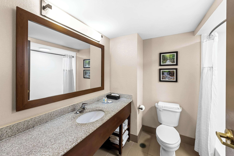 Bathroom 4, Comfort Inn & Suites Heath - Newark South, Licking