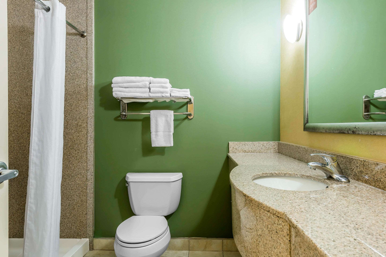 Bathroom 4, Sleep Inn & Suites University/Shands, Alachua