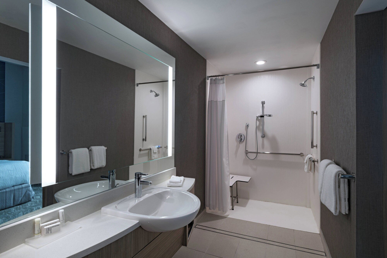 Bathroom 4, Springhill Suites By Marriott Waco, McLennan