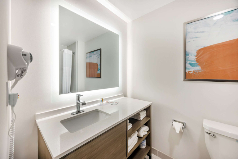 Bathroom 4, Comfort Inn & Suites Nashville, Davidson