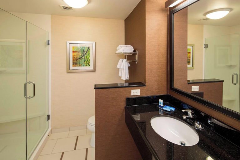 Bathroom 5, Fairfield Inn & Suites Hershey Chocolate Avenue, Dauphin