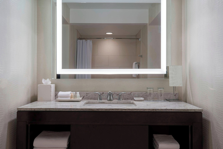 Bathroom 5, Renaissance Baton Rouge Hotel, East Baton Rouge