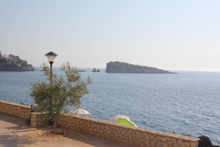 Surrounding environment