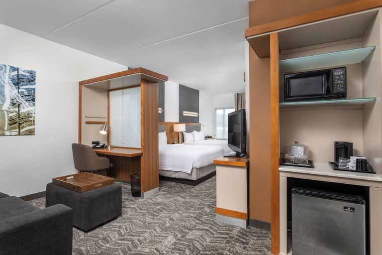 Bedroom 3, SpringHill Suites by Marriott Chattanooga Downtown/Cameron Harbor, Hamilton