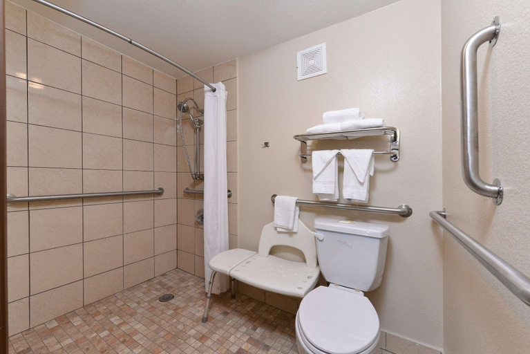 Bathroom 4, Quality Inn Appleton West, Outagamie
