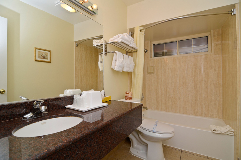 Bathroom 4, Rodeway Inn Los Angeles Convention Center, Los Angeles